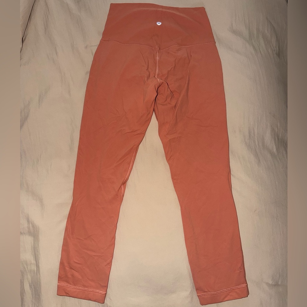 Rust High-Waisted Leggings